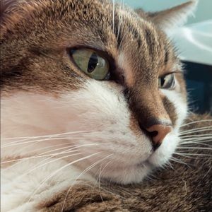 ‼️‼️‼️TWO DAYS ONLY‼️‼️‼️